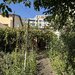 Casa si teren intravilan 512 mp, Bd. Uverturii, zona Cernisoara